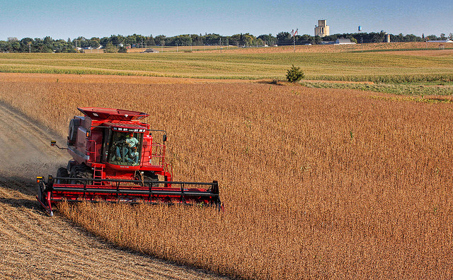 "Equals a Great Harvest"